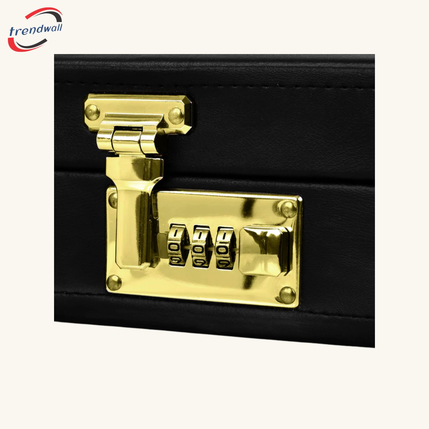 Past Master Blue Lodge Apron Case