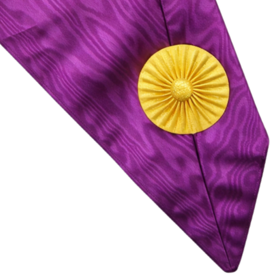 20 Years Memphis Misraim French Regulation Collar