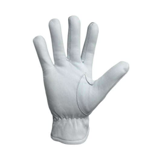 Master Mason Blue Lodge Gloves