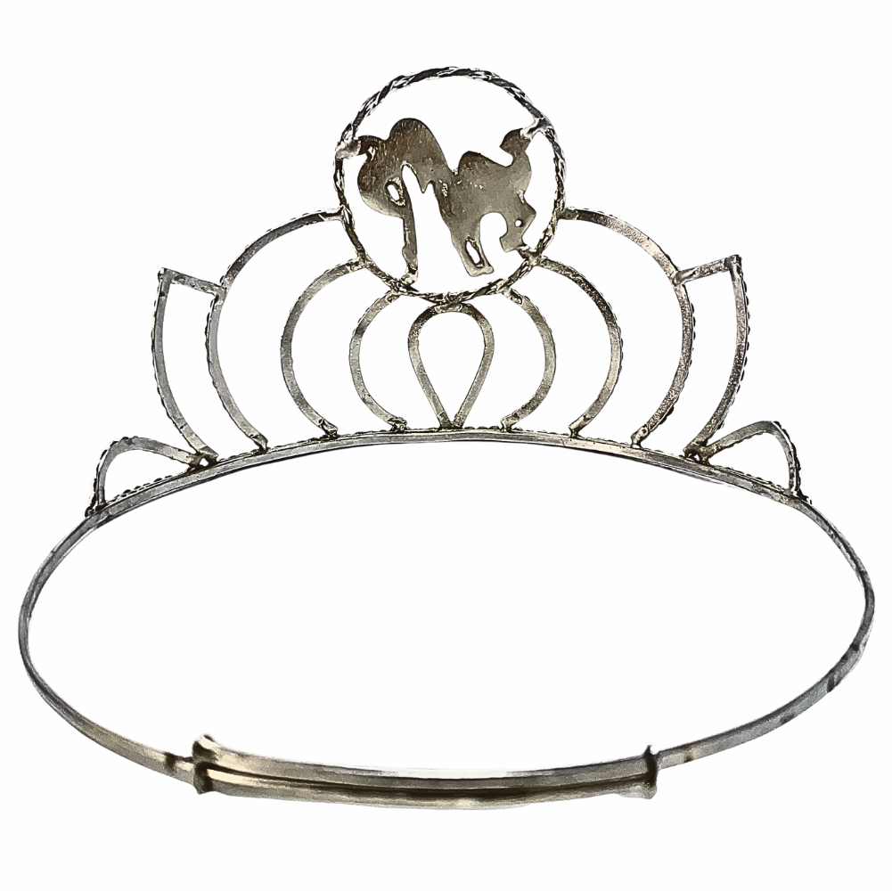 Queen of South Crown