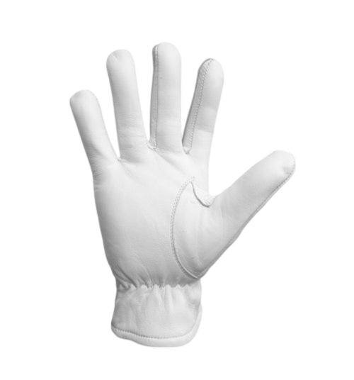Masonic Gloves