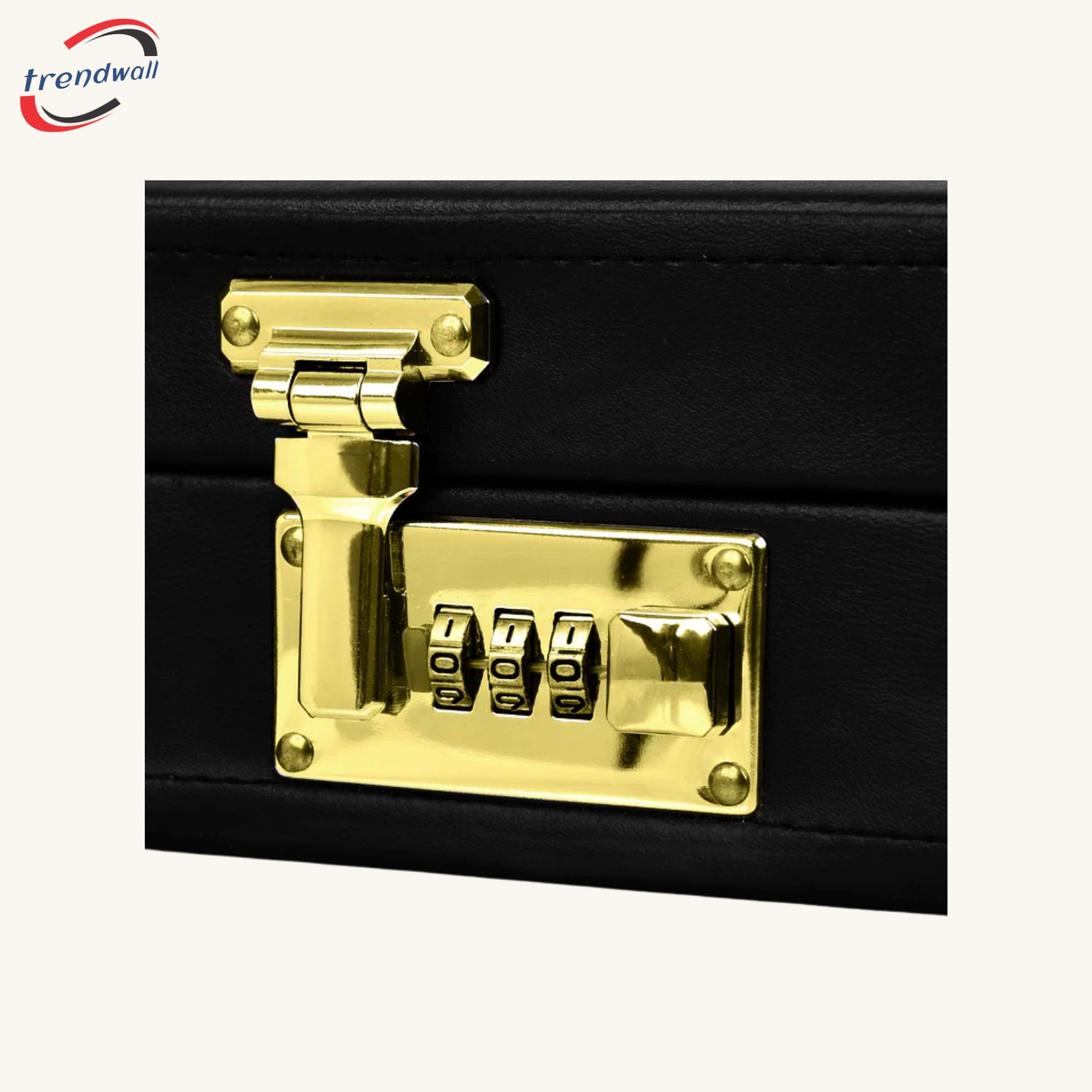 Past Master Blue Lodge Apron Case