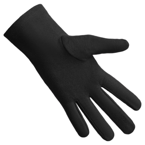 Past Master Blue Lodge California Regulation Gloves