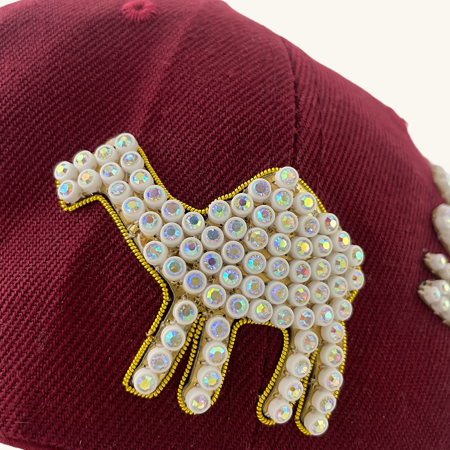 Masonic Shriners Custom Baseball Cap