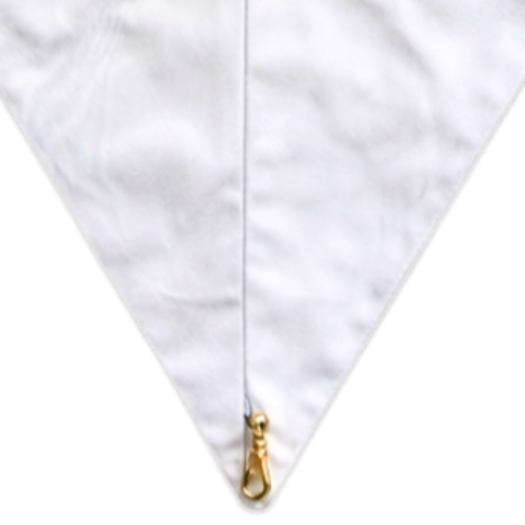 28th Degree Memphis Misraim French Regulation Collar