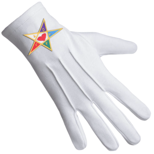 Youth Department International Masons Gloves