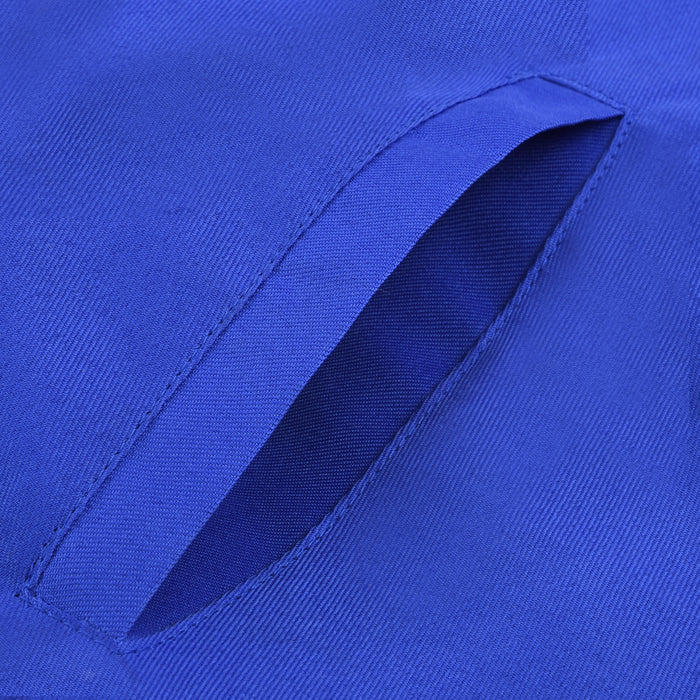 Past Master Blue Lodge California Regulation Apron