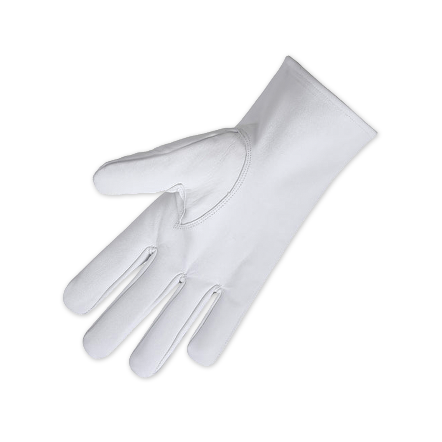 Council of Crusaders PHA Gloves 