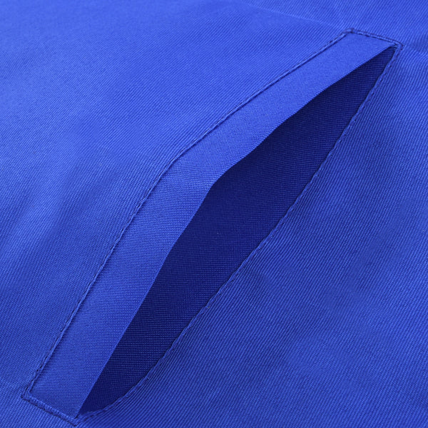 Past Master Blue Lodge California Regulation Apron