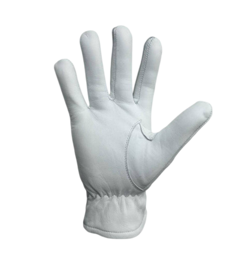 Past Master Blue Lodge Gloves