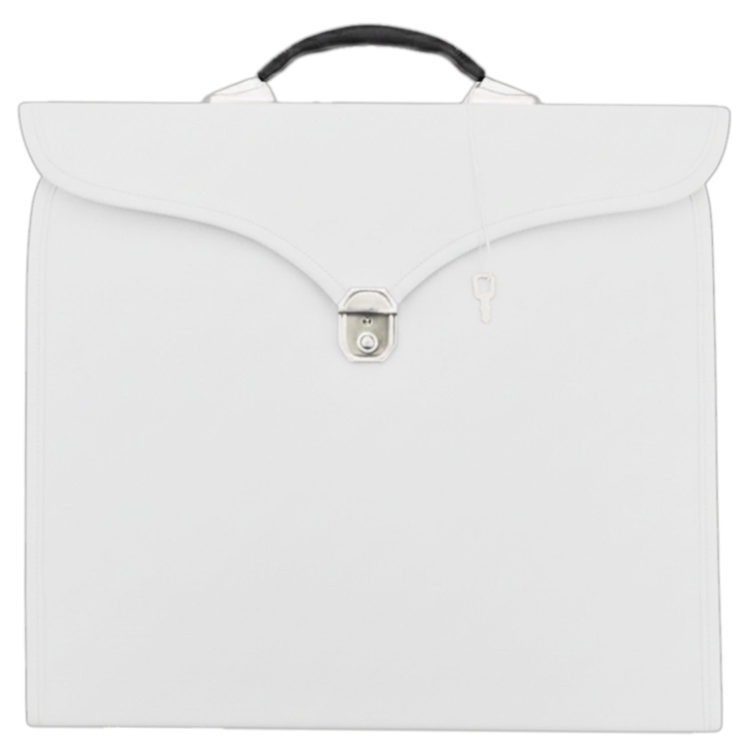 Masonic Apron Case