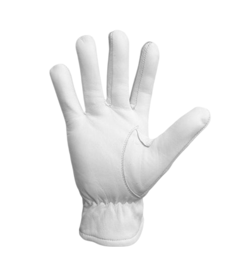 Master Mason Blue Lodge Gloves