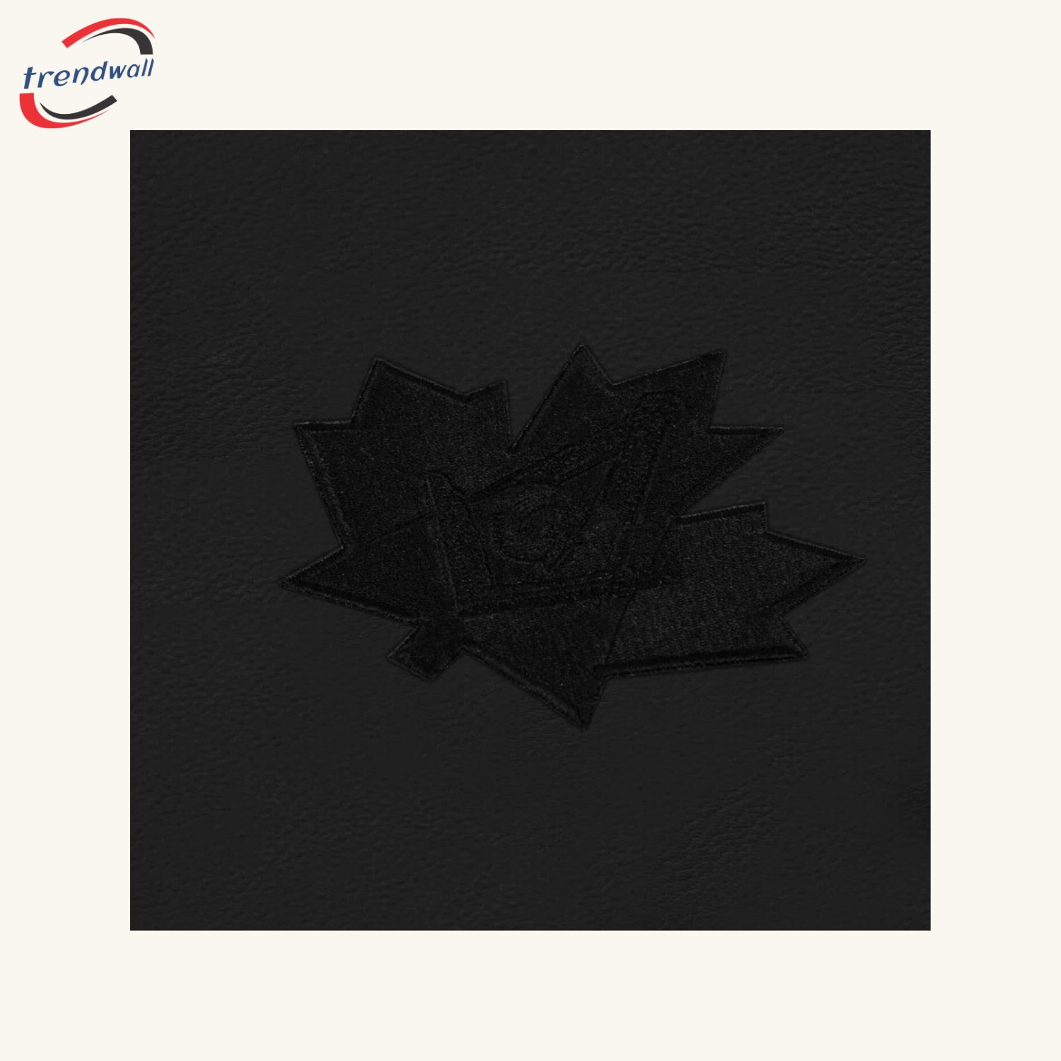 Master Mason Blue Lodge Canada Regulation Apron Case