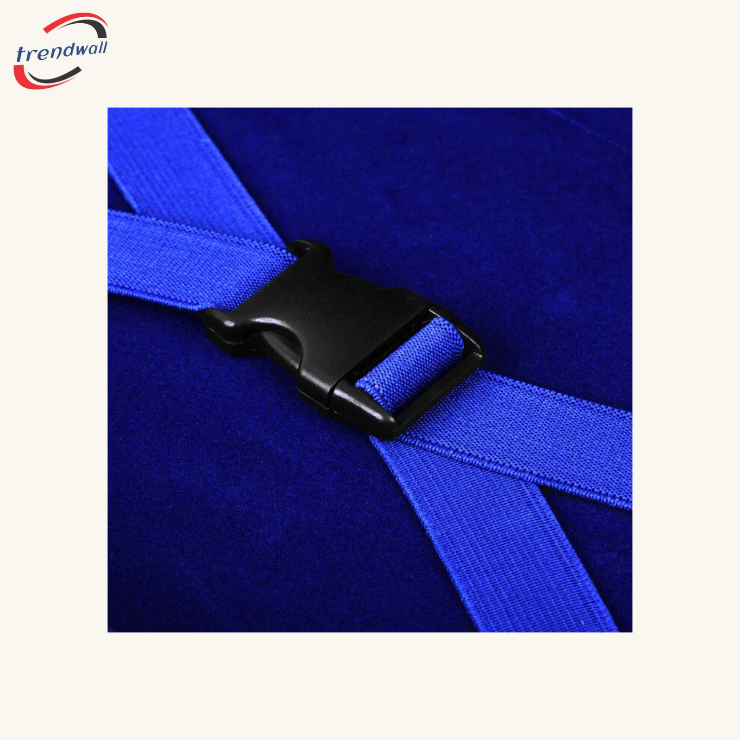 Past Master Blue Lodge Apron Case