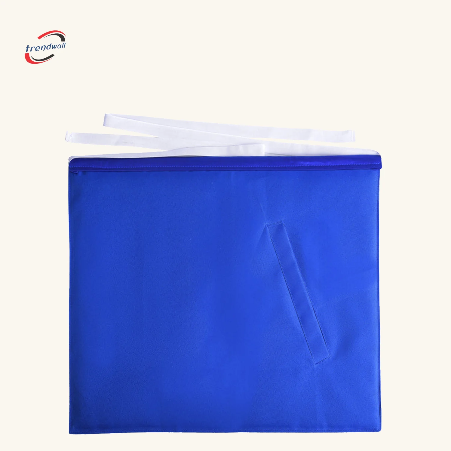Past Master Blue Lodge Apron