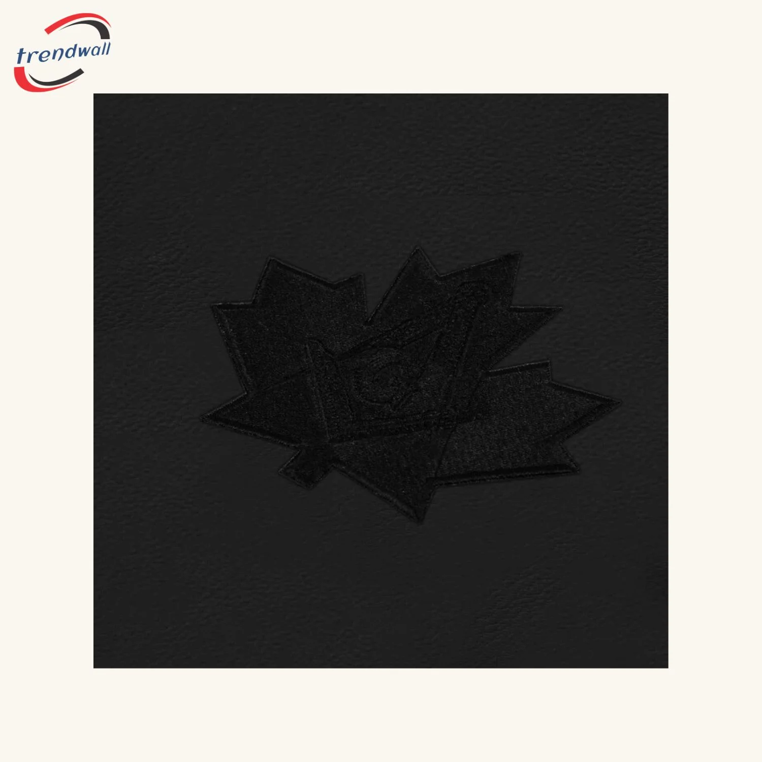 Master Mason Blue Lodge Canada Regulation Apron Case