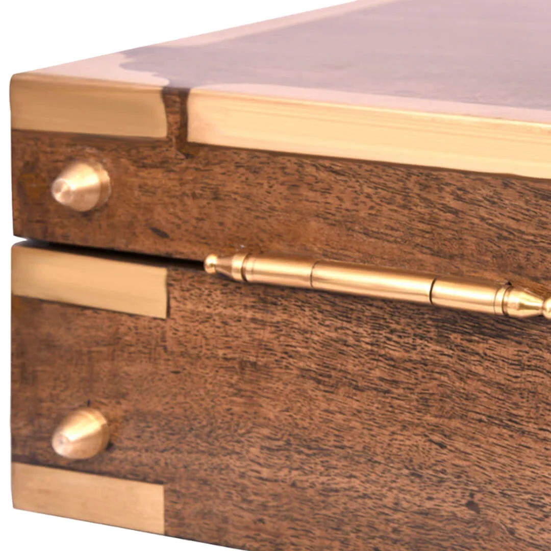 Masonic Apron Case