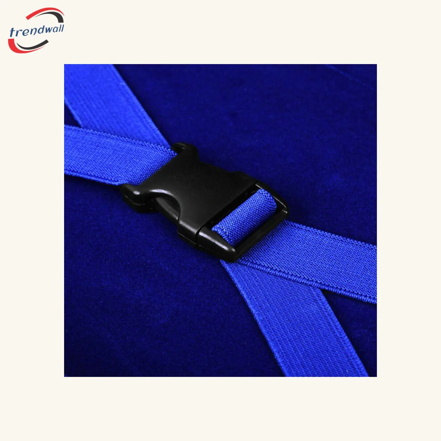 Past Master Blue Lodge Apron Case