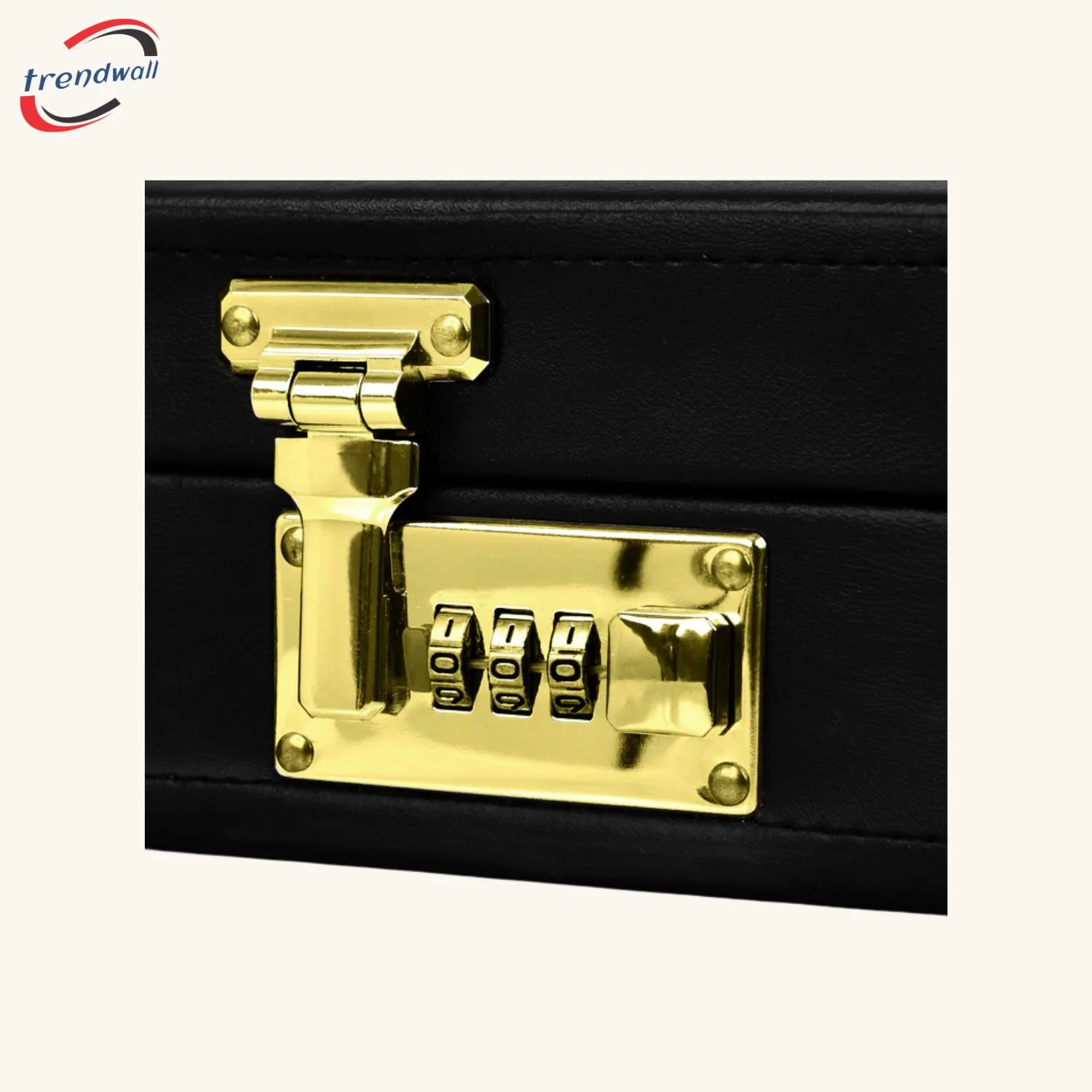Past Master Blue Lodge Apron Case