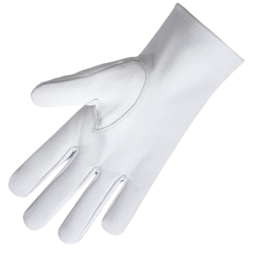 OES Gloves
