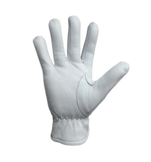 Past Master Blue Lodge Gloves