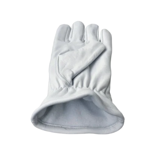 Past Master Blue Lodge Gloves