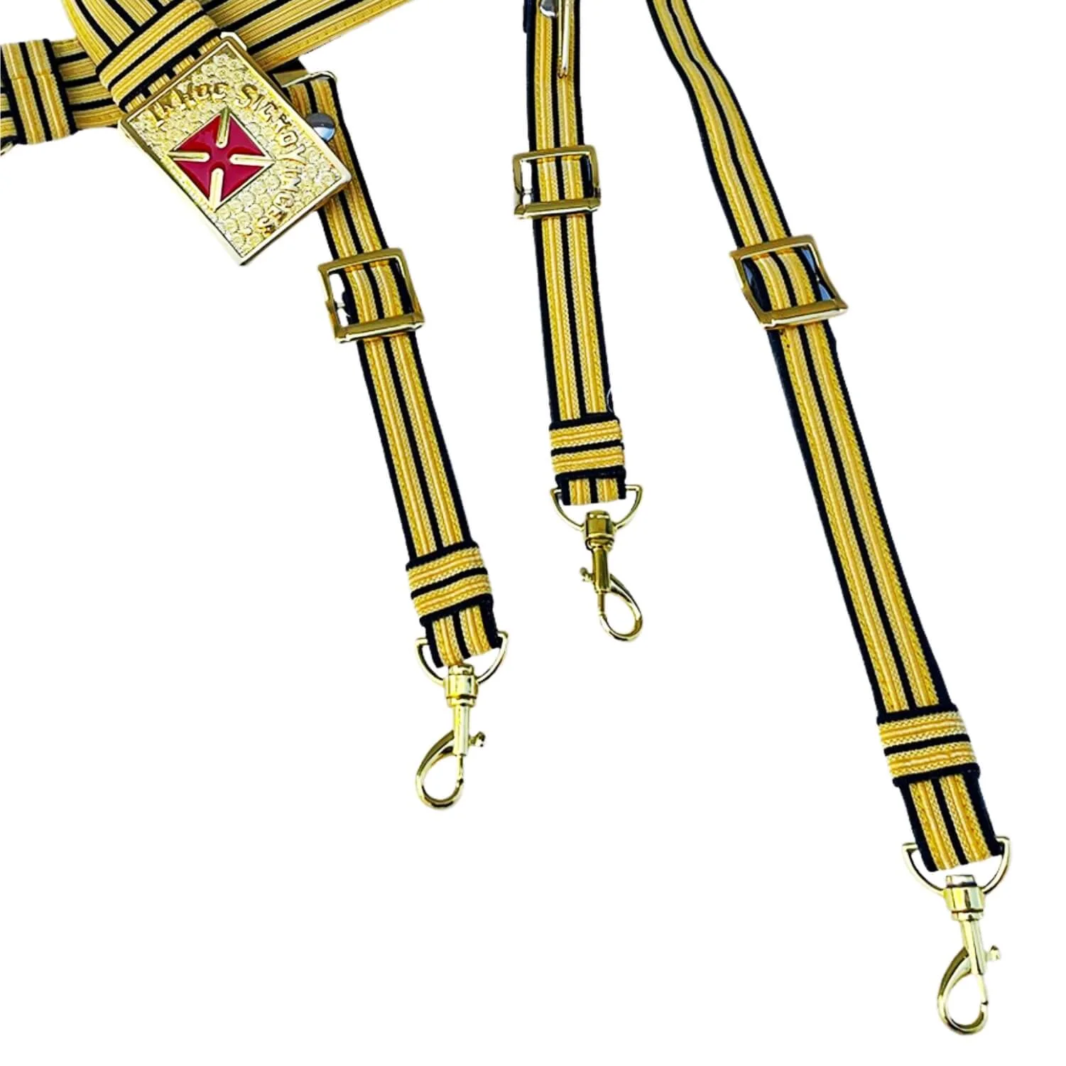 Past Grand Commander Knights Templar Sword Belt