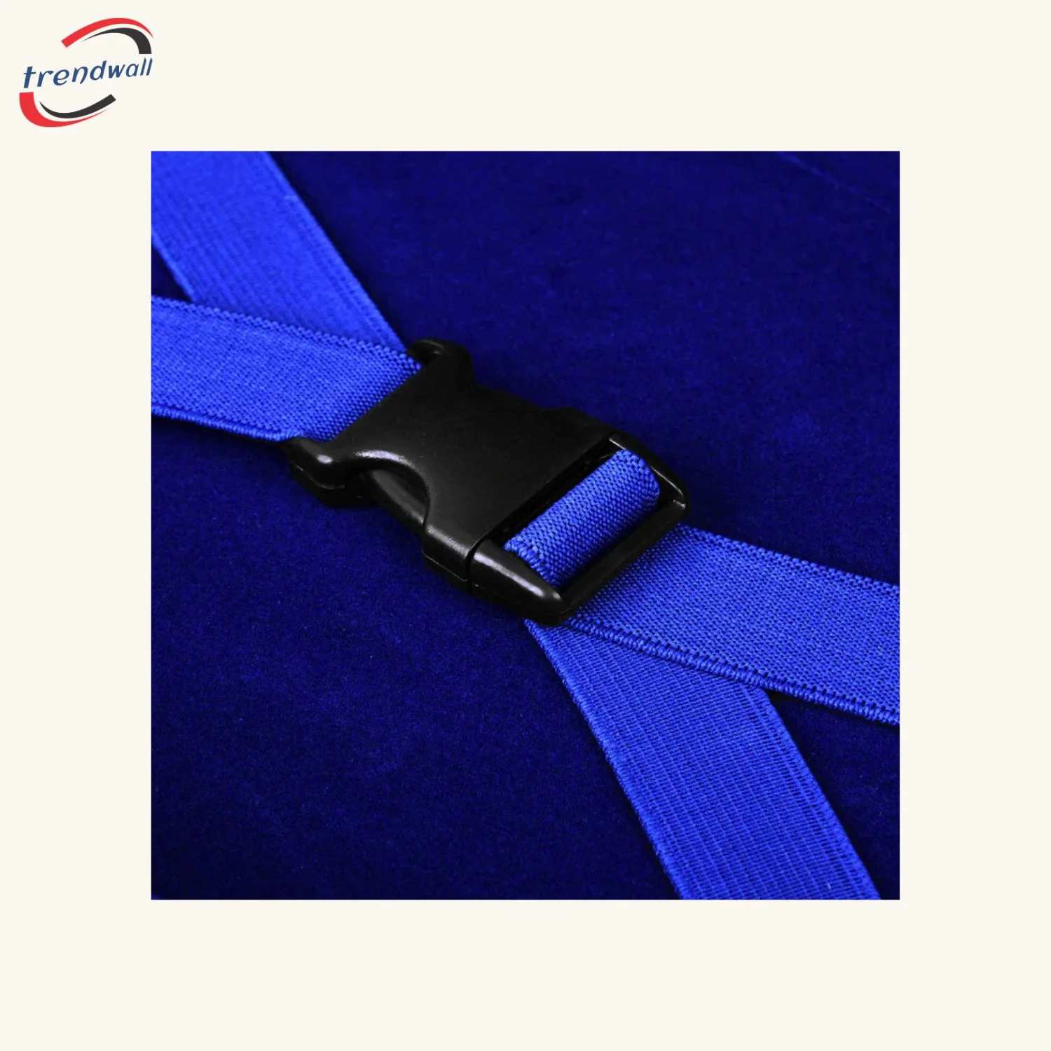 Past Master Blue Lodge Apron Case