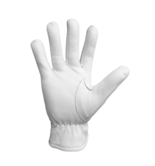 Master Mason Blue Lodge Gloves