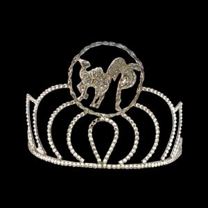 Queen Of South Crown